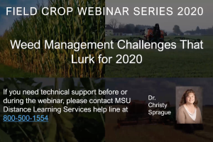 Weed Management Challenges that Lurk for 2020
