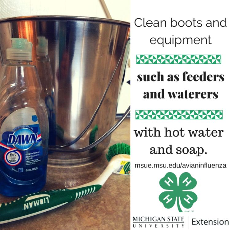 Regularly washing the equipment you use in your facility is an important biosecurity practice for preventing the spread of disease. Photo credit: ANR Communications | MSU Extension
