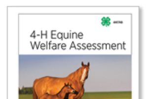 4-H Equine Welfare Assessment 4H1748