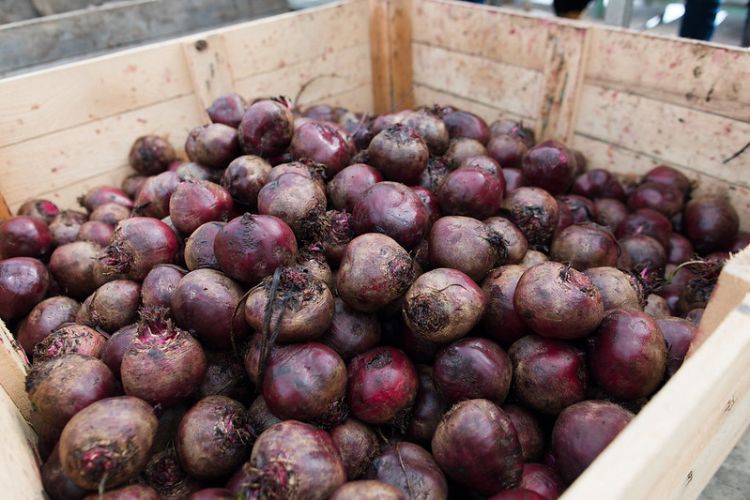 Large wholesale crate of freshly washed beetroots.