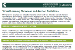 Virtual Learning Showcase and Auction Guidelines