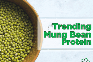 Trending – Mung Bean Protein