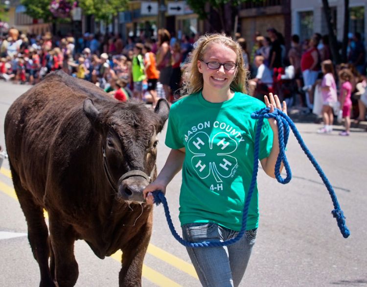 Shelby Soberalski walking her 4-H steer project in a local parade. Photo: Todd Reed.