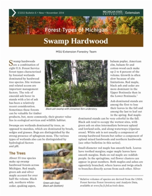 Forest Types Of Michigan Swamp Hardwood E3202 6 Msu Extension
