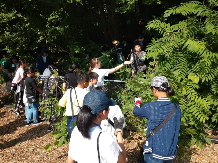 Youth doing community service at a park