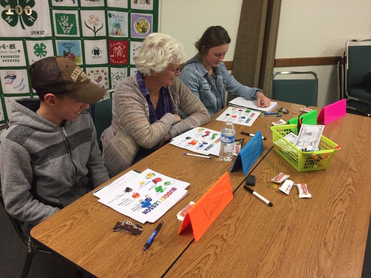 Monroe County 4-H participants learn about club budgets at 4-H Treasurer Training