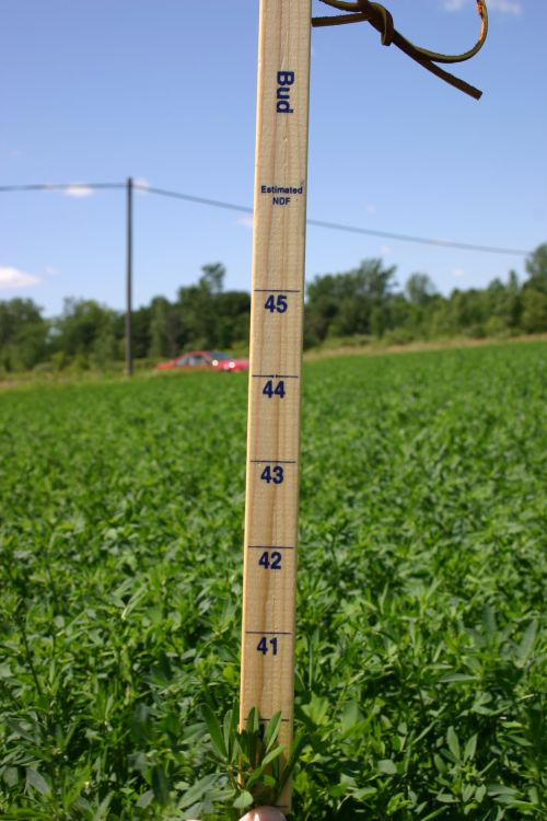 An example of a PEAQ stick measurement.