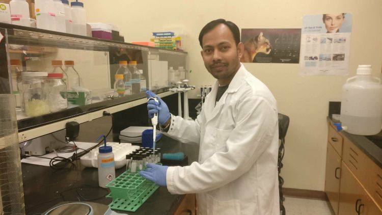BHEARD scholar Shimul Das is studying viruses that damage crop yields in the Leguminosae family.