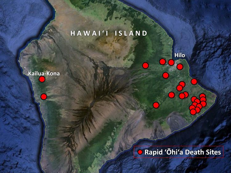Sites on Hawai’i main island with incidence of rapid ōhi’a death.
