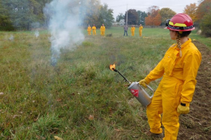 Michigan State University's Forest, Carbon, and Climate Program (FCCP) is adding fire ecology and management to its curriculum