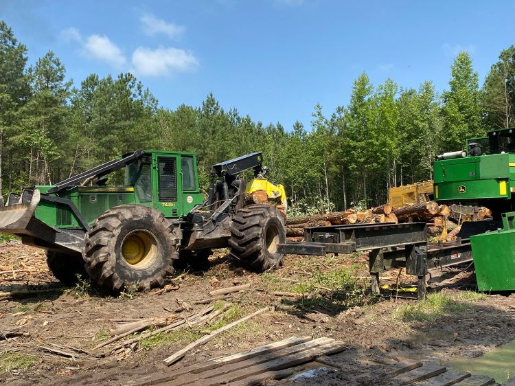 Green tractor carrying logs in a managed forest in the Green Horizons Ponders tract in Delaware.
