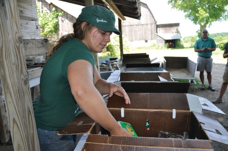 Women packing vegetables in box