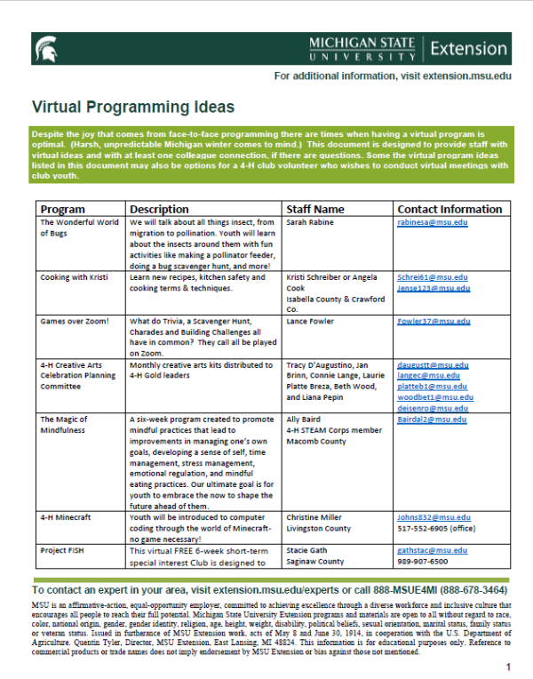 Thumbnail Virtual Programming Ideas
