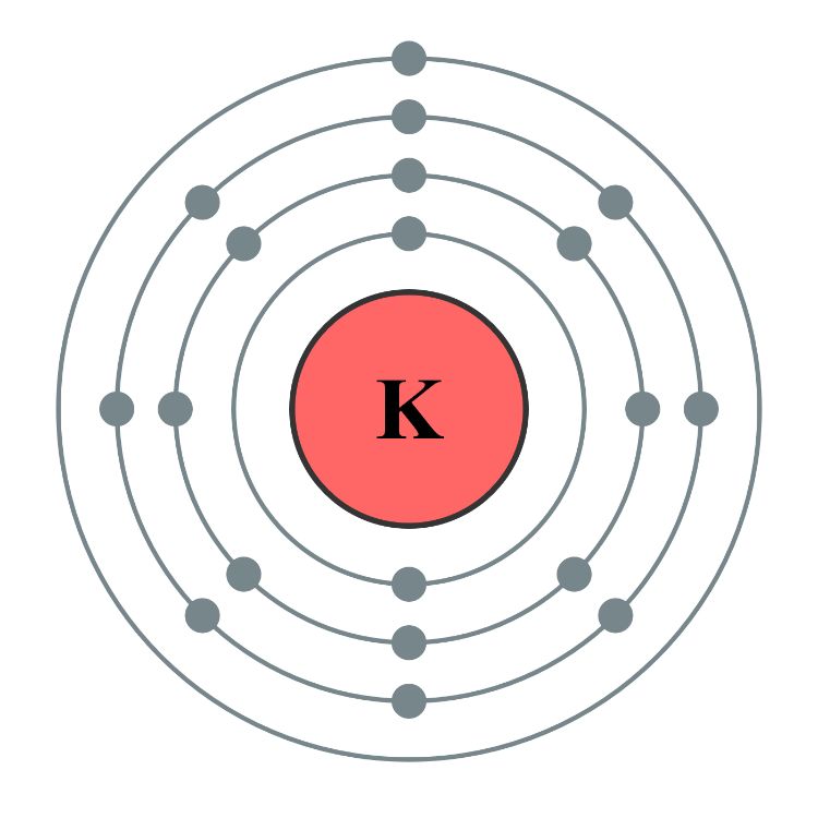 Potassium atom with 19 electrons. Photo by Pumbaa (original work by Greg Robson), CC BY-SA 2.0 UK via Wikimedia Commons.