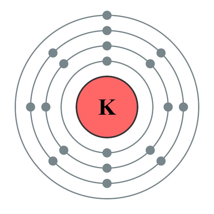 Potassium atom with 19 electrons. Photo by Pumbaa (original work by Greg Robson), CC BY-SA 2.0 UK via Wikimedia Commons.