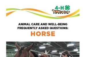 4-H Animal Care & Well-Being Bookmarks - Horse 4H1710