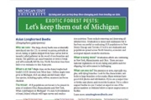 Exotic Forest Pests: Let's Keep Them Out of Michigan (CANR559)