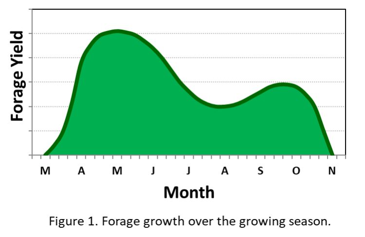 Forage growth over growing season