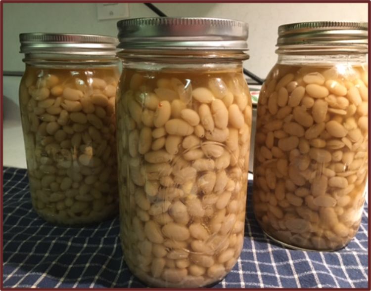 Three jars of canned white beans.