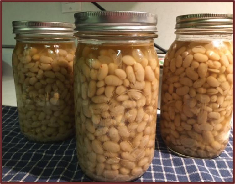 Canning update: successful jar sealing – Safe & Healthy Food for