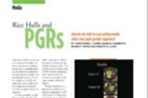 Rice hulls and PGRs