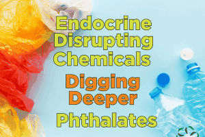 Endocrine Disrupting Chemicals – Digging Deeper: Phthalates