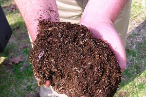 mixing grass clippings into soil