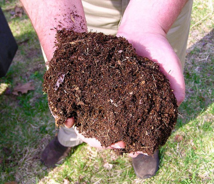 Build Smart Soils Using Mulch Composted Organic Matter And Reducing Tillage Msu Extension