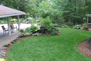 Smart watering for lawns: Don’t let the lawn squeeze you dry