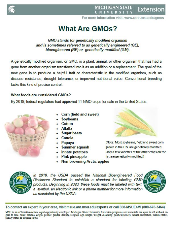 What are GM crops and how is it done?