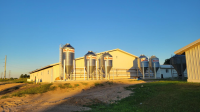 Facility Upgrade on South Campus Animal Farms