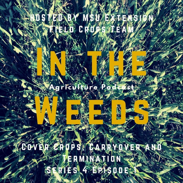 In the Weeds promo graphic