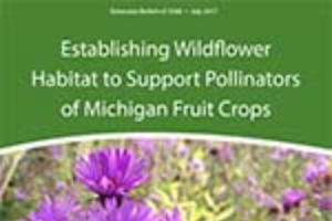 Establishing Wildflower Habitat to Support Pollinators of Michigan Fruit Crops (E3360)