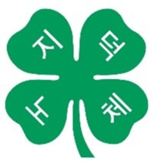 The 4-H clover of South Korea with Korean letters on each lobe of the clover.