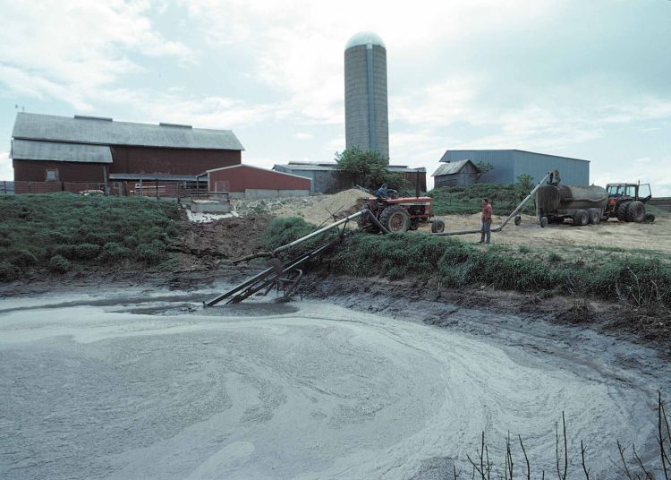 Liquid manure storage pit at a dairy operation.