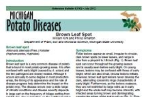 Brown Leaf Spot (E3182)