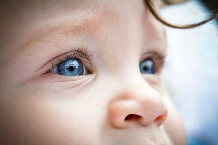Infant vision development: Helping babies see their bright futures! - MSU  Extension