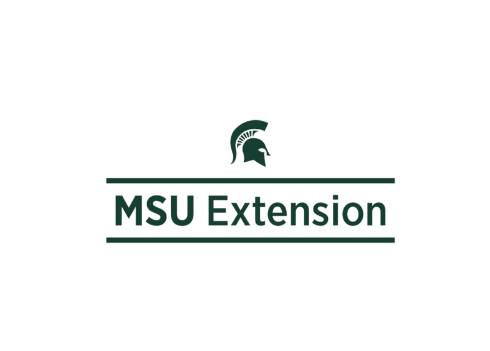 MSU Extension written out with Spartan Helmet on top of writing.