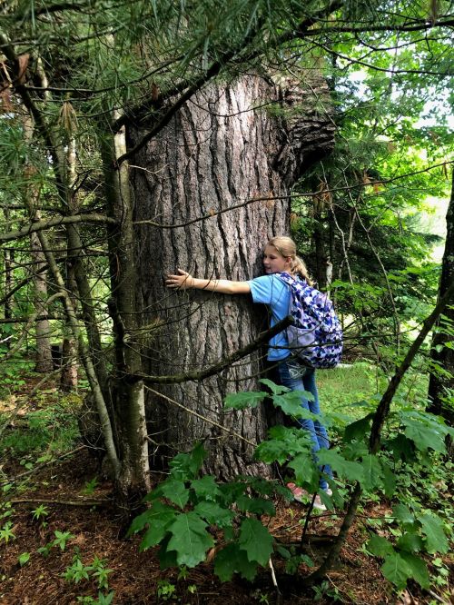 Child hugging large tree surrounded by forest.