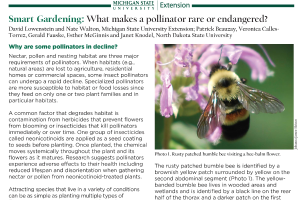 Smart Gardening: What makes a pollinator rare or endangered?