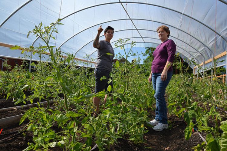 Two women talking under inside a high tunnel structure on farm