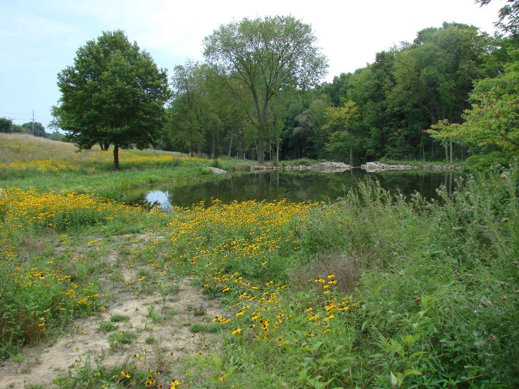 Photo: This shows a retention pond for storm water in Rochester Hills, MI. Courtesy of: Clinton River Watershed Council