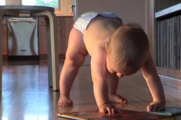 Babies walk hotsell before they crawl