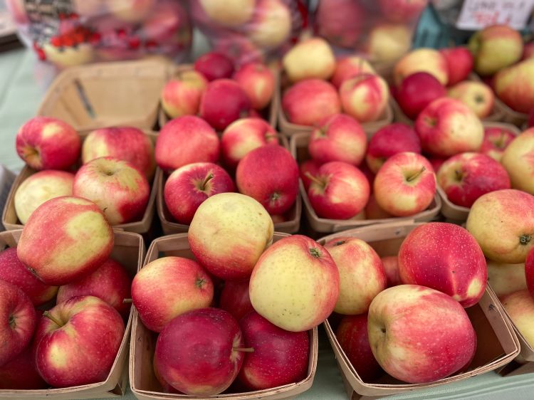 Honeycrisp Apple Box - Fresh Michigan-Grown Apples Delivered