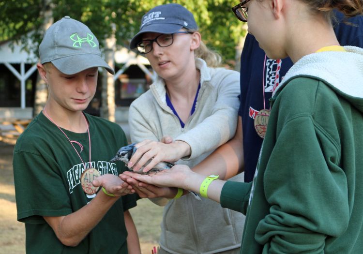 Campers Experience A Bird In The Hand At 4 H Great Lakes And Natural Resources Camp Msu Extension
