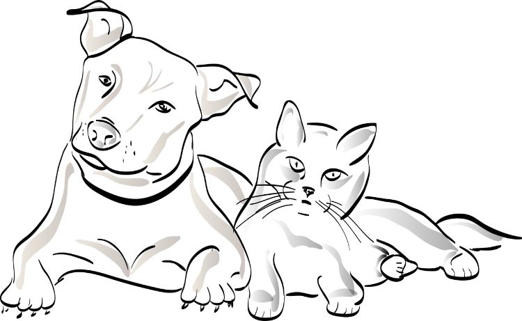 Black and white sketch drawing of a dog and cat.