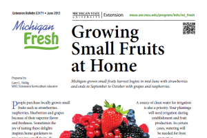Michigan Fresh: Growing Small Fruits at Home (E3171)