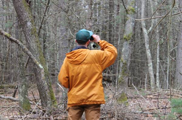 Forestry Certificate Programs Institute of Agricultural Technology