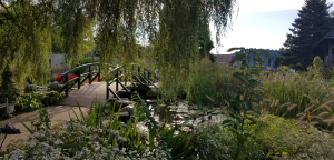 Monet Bridge rebuilt with lumber from campus trees