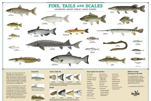 Fishes of Nebraska, Nebraska Maps & More